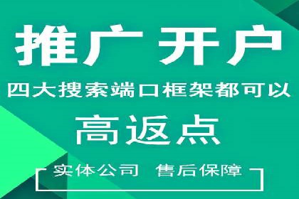 热门充值高返点平台案例分析
